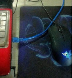 电脑网线 连接虚拟与现实的“6”生活纽带